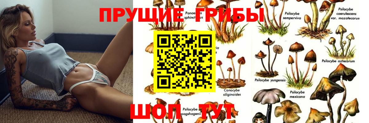 Псилоцибиновые грибы Cubensis  Псилоцибиновые грибы мицелий  Советский  где купить наркоту  Вход с VPN 